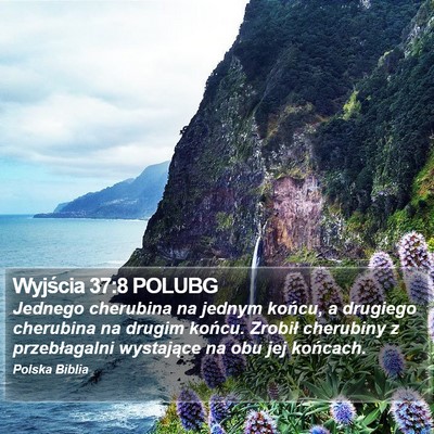 Wyjścia 37:8 POLUBG Bible Verse Image