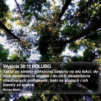 Wyjścia 38:11 POLUBG Bible Verse Image
