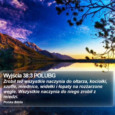 Wyjścia 38:3 POLUBG Bible Verse Image