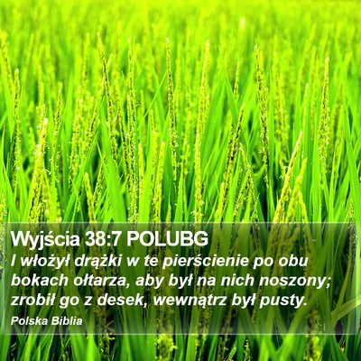 Wyjścia 38:7 POLUBG Bible Verse Image