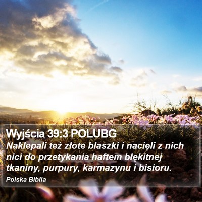 Wyjścia 39:3 POLUBG Bible Verse Image