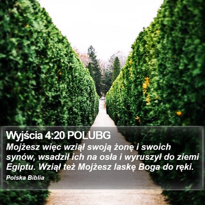 Wyjścia 4:20 POLUBG Bible Verse Image