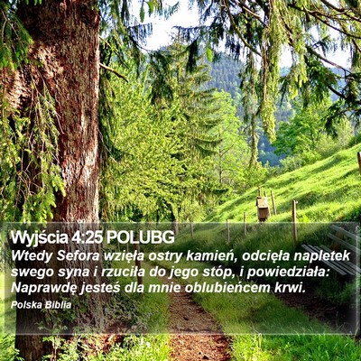 Wyjścia 4:25 POLUBG Bible Verse Image