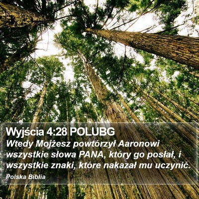 Wyjścia 4:28 POLUBG Bible Verse Image
