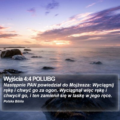 Wyjścia 4:4 POLUBG Bible Verse Image