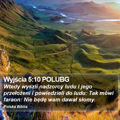 Wyjścia 5:10 POLUBG Bible Verse Image