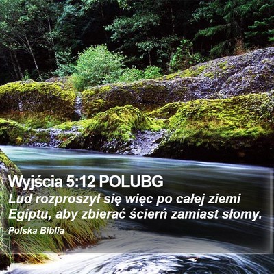 Wyjścia 5:12 POLUBG Bible Verse Image