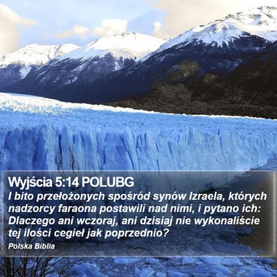 Wyjścia 5:14 POLUBG Bible Verse Image