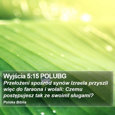 Wyjścia 5:15 POLUBG Bible Verse Image