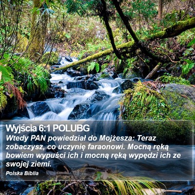 Wyjścia 6:1 POLUBG Bible Verse Image