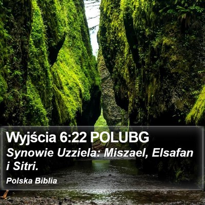 Wyjścia 6:22 POLUBG Bible Verse Image