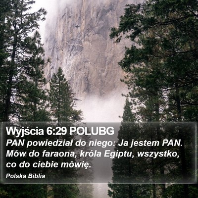 Wyjścia 6:29 POLUBG Bible Verse Image