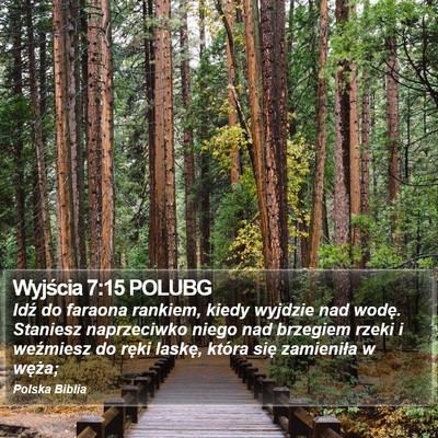 Wyjścia 7:15 POLUBG Bible Verse Image
