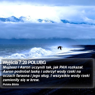Wyjścia 7:20 POLUBG Bible Verse Image