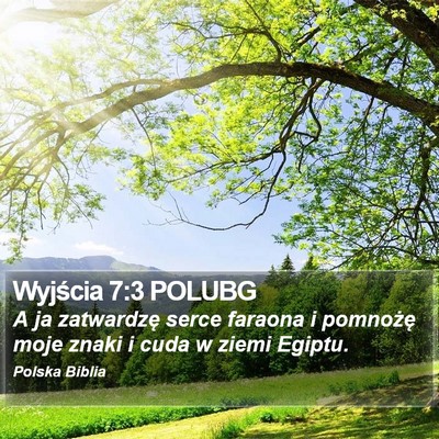 Wyjścia 7:3 POLUBG Bible Verse Image