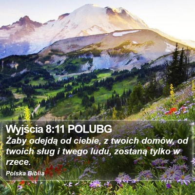 Wyjścia 8:11 POLUBG Bible Verse Image