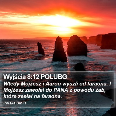 Wyjścia 8:12 POLUBG Bible Verse Image