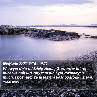 Wyjścia 8:22 POLUBG Bible Verse Image