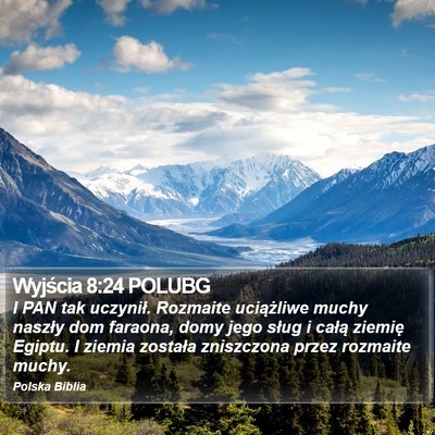 Wyjścia 8:24 POLUBG Bible Verse Image