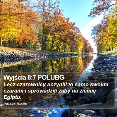 Wyjścia 8:7 POLUBG Bible Verse Image