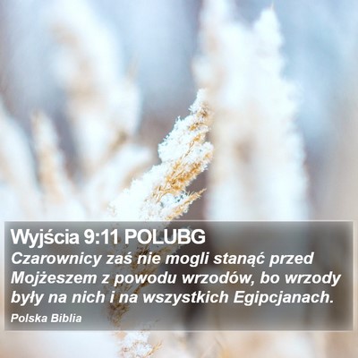 Wyjścia 9:11 POLUBG Bible Verse Image
