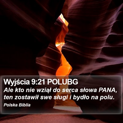 Wyjścia 9:21 POLUBG Bible Verse Image