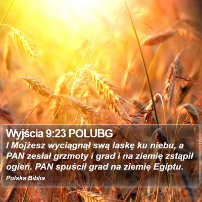 Wyjścia 9:23 POLUBG Bible Verse Image