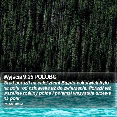 Wyjścia 9:25 POLUBG Bible Verse Image