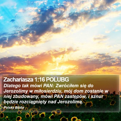 Zachariasza 1:16 POLUBG Bible Verse Image