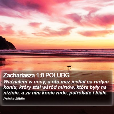 Zachariasza 1:8 POLUBG Bible Verse Image