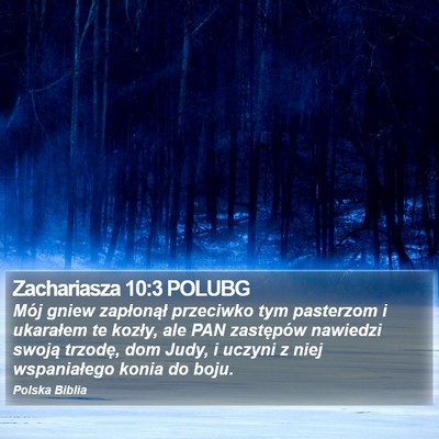Zachariasza 10:3 POLUBG Bible Verse Image