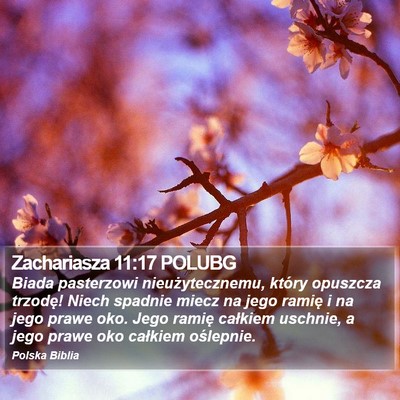 Zachariasza 11:17 POLUBG Bible Verse Image