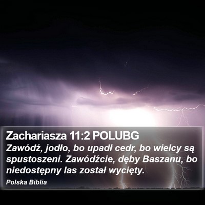 Zachariasza 11:2 POLUBG Bible Verse Image