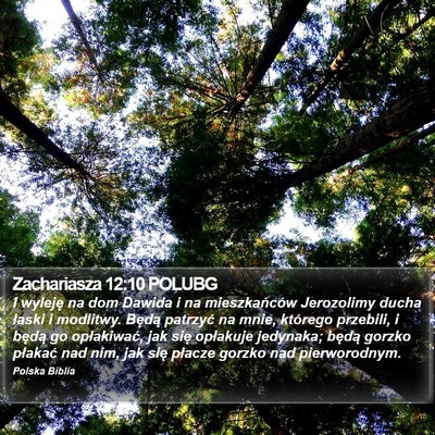 Zachariasza 12:10 POLUBG Bible Verse Image