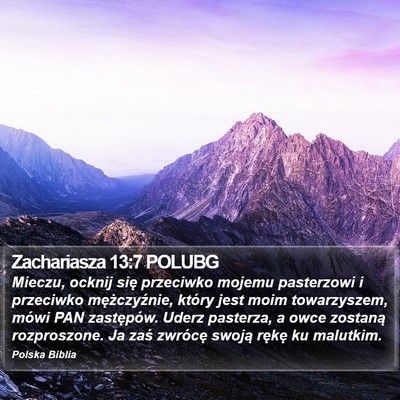 Zachariasza 13:7 POLUBG Bible Verse Image