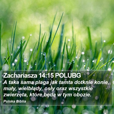 Zachariasza 14:15 POLUBG Bible Verse Image
