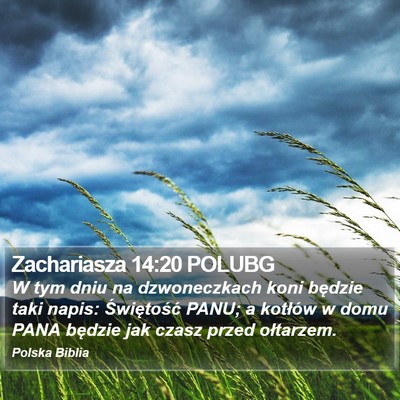 Zachariasza 14:20 POLUBG Bible Verse Image