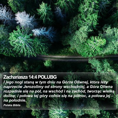 Zachariasza 14:4 POLUBG Bible Verse Image