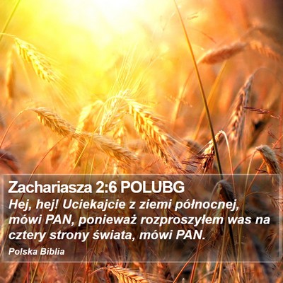 Zachariasza 2:6 POLUBG Bible Verse Image