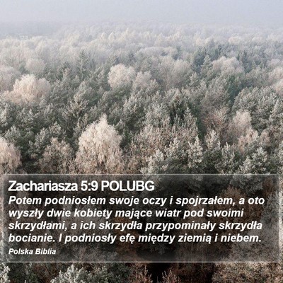 Zachariasza 5:9 POLUBG Bible Verse Image