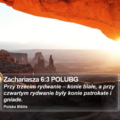 Zachariasza 6:3 POLUBG Bible Verse Image