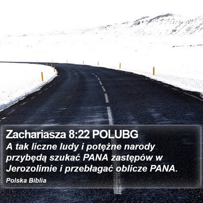 Zachariasza 8:22 POLUBG Bible Verse Image