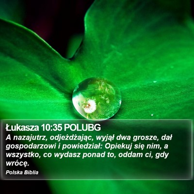 Łukasza 10:35 POLUBG Bible Verse Image