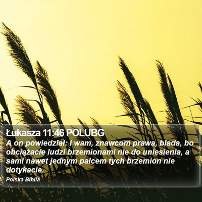Łukasza 11:46 POLUBG Bible Verse Image