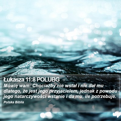 Łukasza 11:8 POLUBG Bible Verse Image