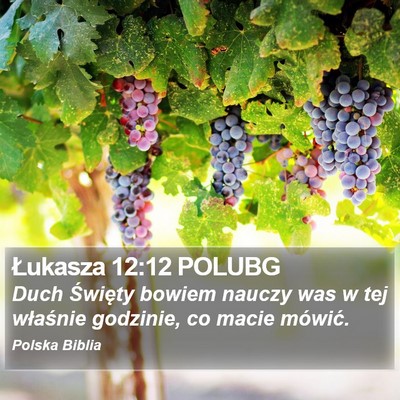 Łukasza 12:12 POLUBG Bible Verse Image