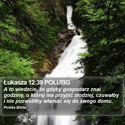 Łukasza 12:39 POLUBG Bible Verse Image