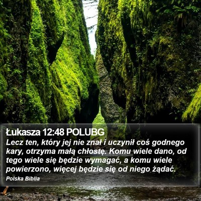 Łukasza 12:48 POLUBG Bible Verse Image