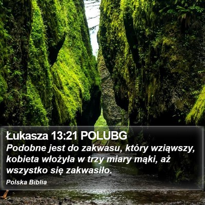 Łukasza 13:21 POLUBG Bible Verse Image
