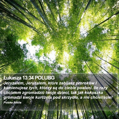 Łukasza 13:34 POLUBG Bible Verse Image